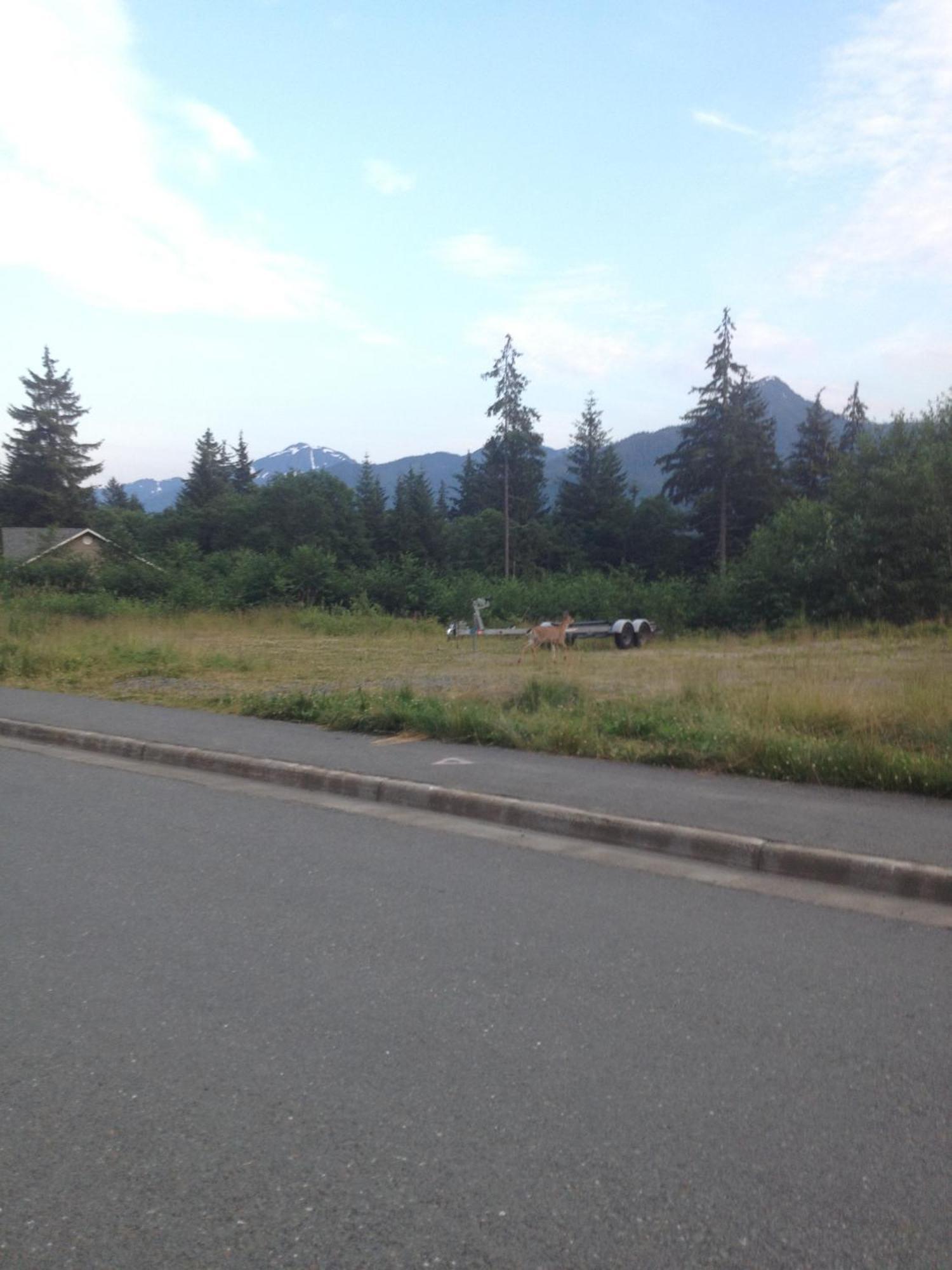 Kelli Creek Cottage - REDUCED PRICE ON TOURS Juneau Buitenkant foto